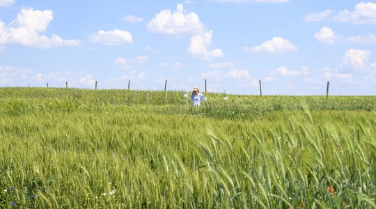 Auf der Lehr- und Versuchsstation Gut Wilmersdorf machen sich die Besucher*innen mit den Anbauflächen vertraut.